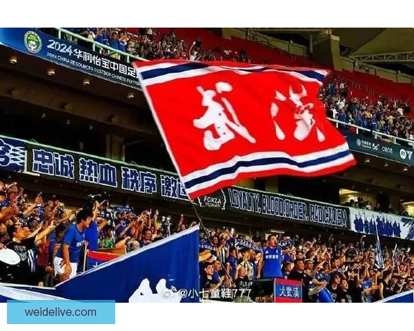 武汉三镇足球俱乐部就历史问题处罚发布情况说明公告解读与回应
