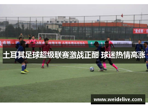 土耳其足球超级联赛激战正酣 球迷热情高涨